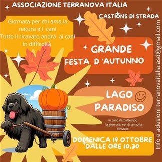 Festa d'autunno