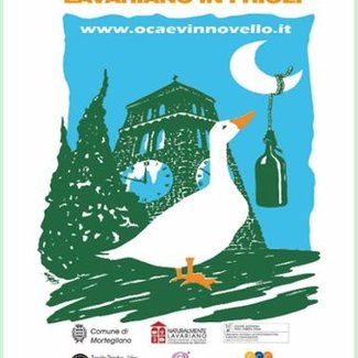 Friuli autentico: radici, territorio e calici da scoprire