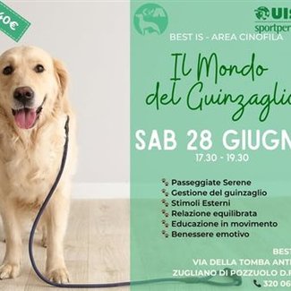 Il Mondo del Guinzaglio