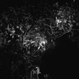 Propagation—Janez Grošelj Altrememorie